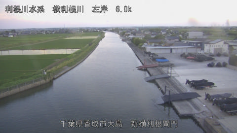 yoko2026053119_image