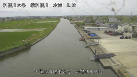 yoko2026060210_image