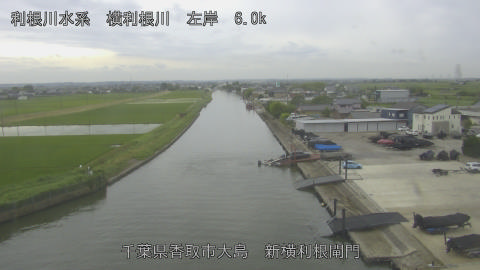 yoko2026060914_image