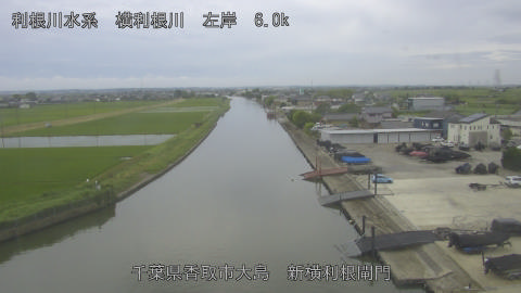 yoko2026060915_image