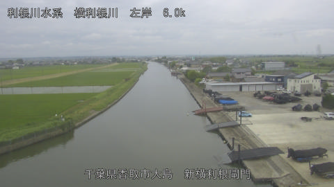yoko2026060916_image