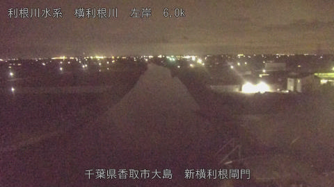 yoko2026060921_image