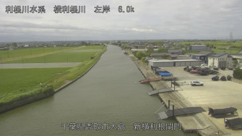 yoko2026061011_image