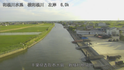 yoko2026061018_image