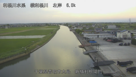 yoko2026061019_image