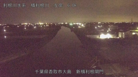 yoko2026061021_image