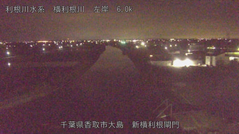 yoko2026061101_image