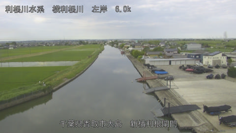 yoko2026061107_image