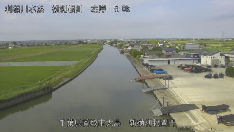 yoko2026061108_image