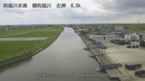 yoko2026061113_image