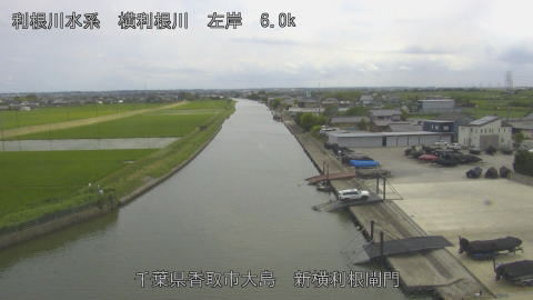 yoko2026061115_image