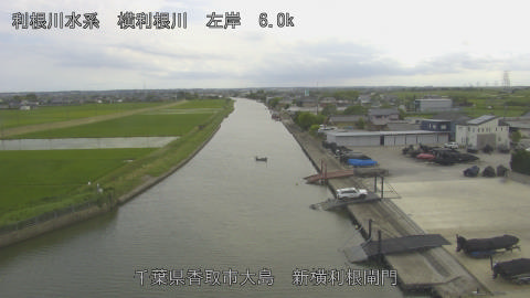 yoko2026061116_image