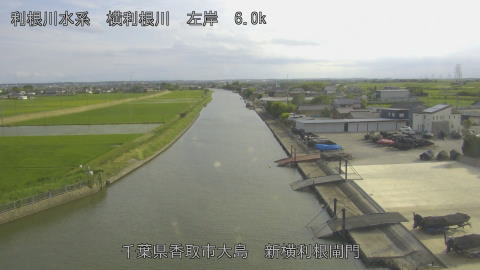 yoko2026061117_image