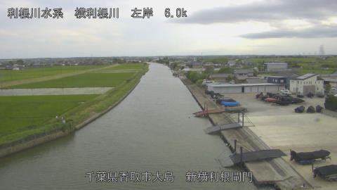 yoko2026061118_image