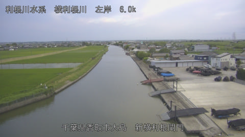 yoko2026061119_image