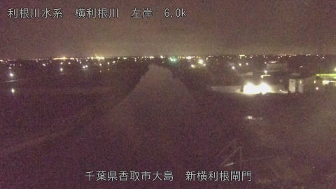 yoko2026061123_image