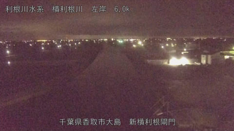 yoko2026061201_image