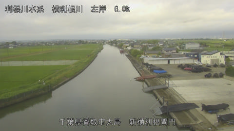 yoko2026061206_image