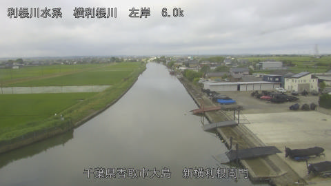 yoko2026061207_image