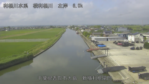 yoko2026061209_image