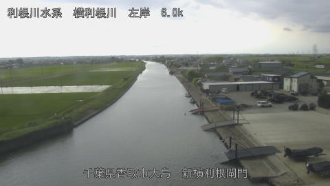 yoko2026061215_image