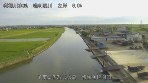yoko2026061218_image