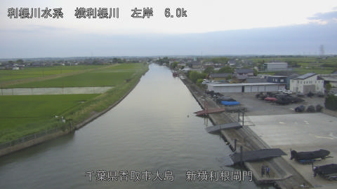 yoko2026061219_image