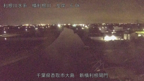 yoko2026061221_image