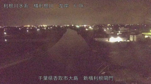 yoko2026061223_image