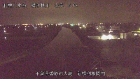 yoko2026061300_image