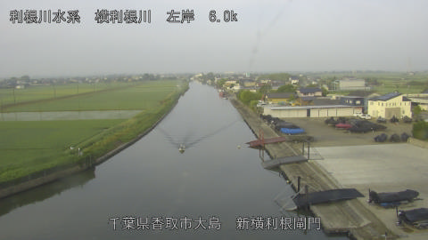 yoko2026061306_image