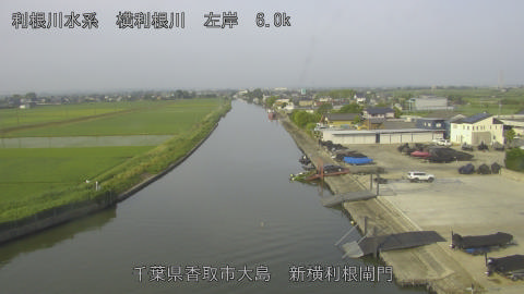 yoko2026061307_image