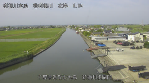 yoko2026061308_image