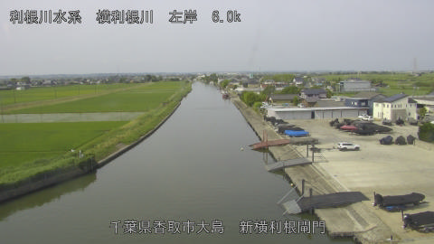 yoko2026061309_image