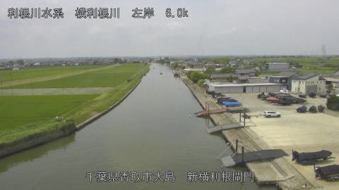 yoko2026061311_image