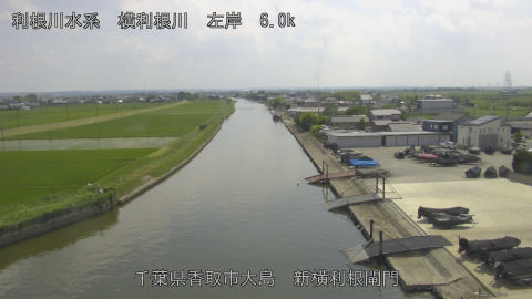 yoko2026061314_image