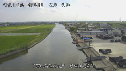 yoko2026061315_image