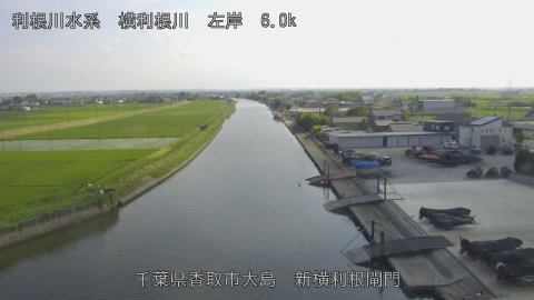 yoko2026061316_image