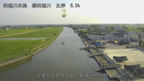 yoko2026061317_image
