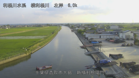 yoko2026061318_image