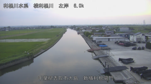 yoko2026061319_image