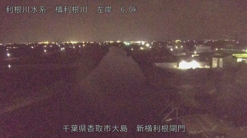 yoko2026061321_image
