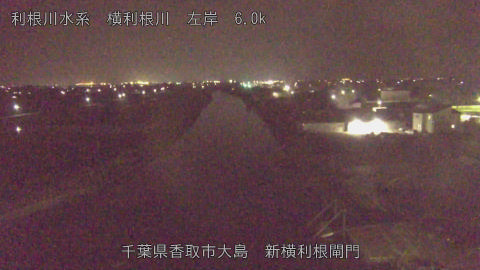 yoko2026061323_image