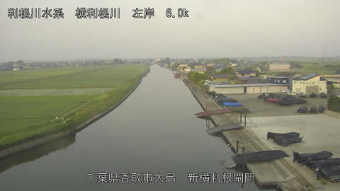 yoko2026061405_image