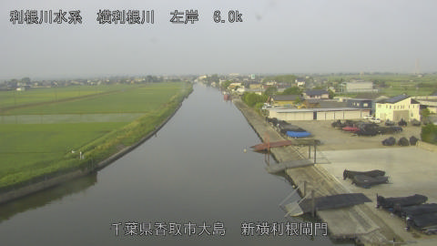yoko2026061406_image