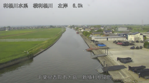 yoko2026061407_image