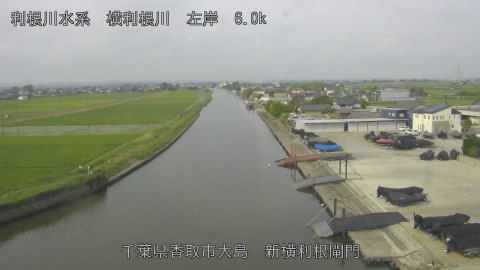 yoko2026061408_image