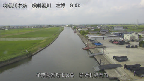 yoko2026061409_image