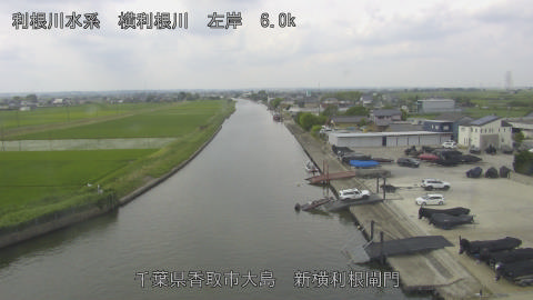 yoko2026061410_image