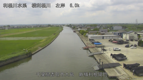 yoko2026061411_image